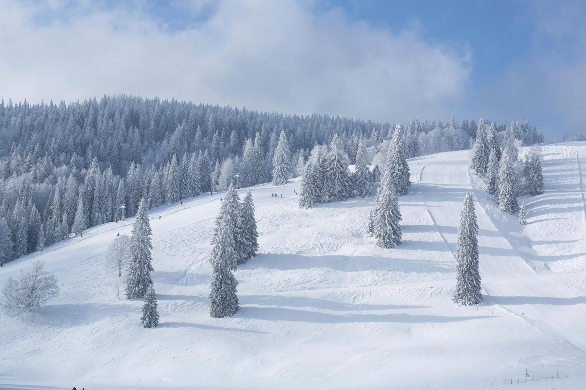 Ferienwohnung Schneelehner, 2-Schlafzimmer, Feldberg Feldberg  Eksteriør bilde